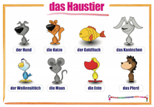 German animals wall chart / das Haustier